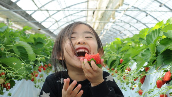 続・子どもへのACTの実践の現状は？国際学会ACBSに参加して